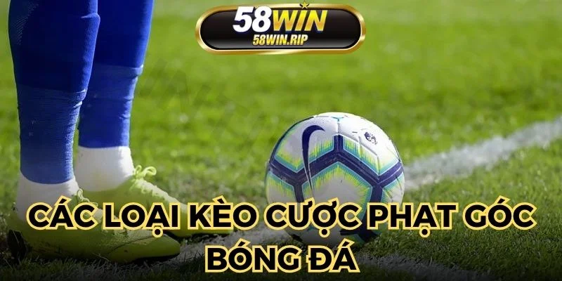 co-nhieu-hinh-thuc-cuoc-phat-goc-tai-nha-cai-online