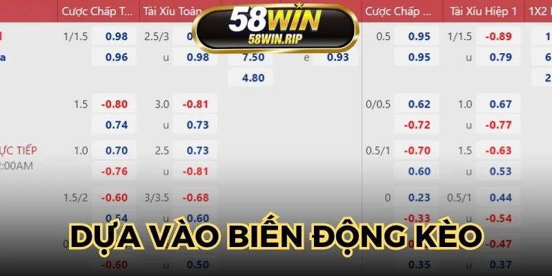 dua-vao-bien-dong-keo
