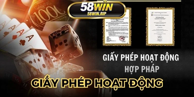 giay-phep-hoat-dong-hop-phap-tu-to-chuc