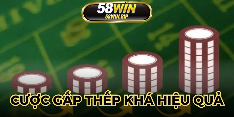 giup-hoi-vien-go-von-nhanh-co-loi-nhuan