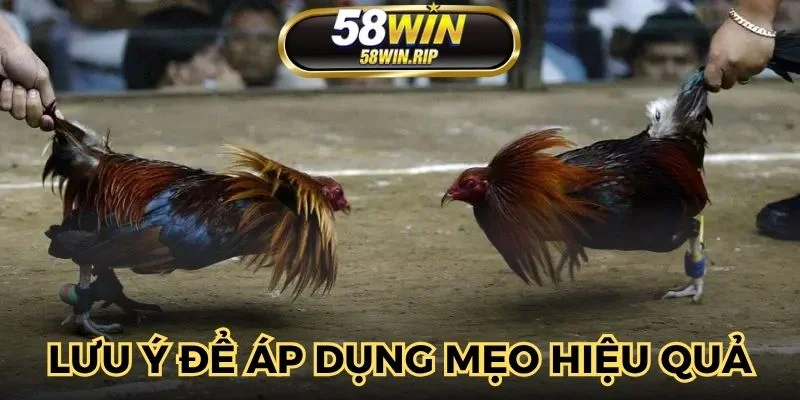 luu-y-chon-tran-dau-co-ty-le-hop-ly-han-che-rui-ro