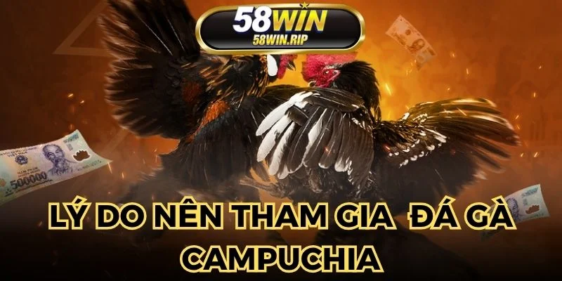 nha-cai-voi-da-dang-cac-keo-cuoc-cho-nguoi-choi-chon