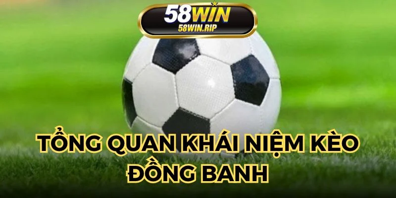 so-luoc-ve-khai-niem-keo-dong-banh-la-gi