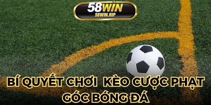 tham-khao-cac-meo-de-ca-cuoc-thang-lon-cuc-de-cho-ban