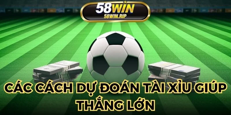 tham-khao-huong-dan-du-doan-tai-xiu-de-dat-cuoc-nha-cai