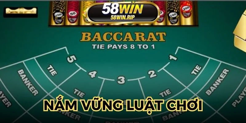 thanh-vien-can-nam-ro-luat-tham-gia